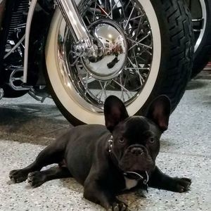 Meet your Posher, Tom